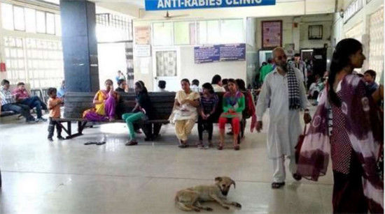 印度实行全民免费医疗,事实真的是这样吗?印度