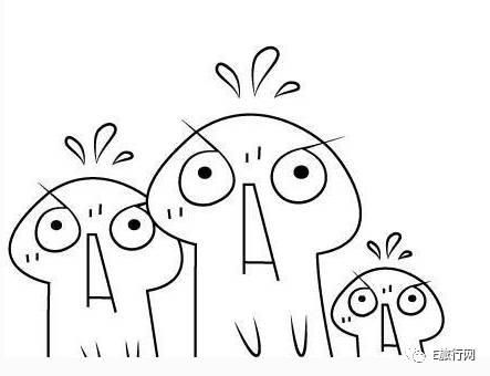 正式确定!沙特2018年一季度对华开放电子旅游