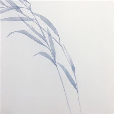 微信头像背景封面图片最新2018 适合朋友圈封