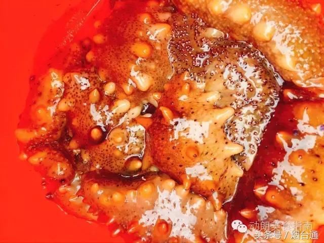 探班烟台东口合不拢嘴渔家乐!完整版!