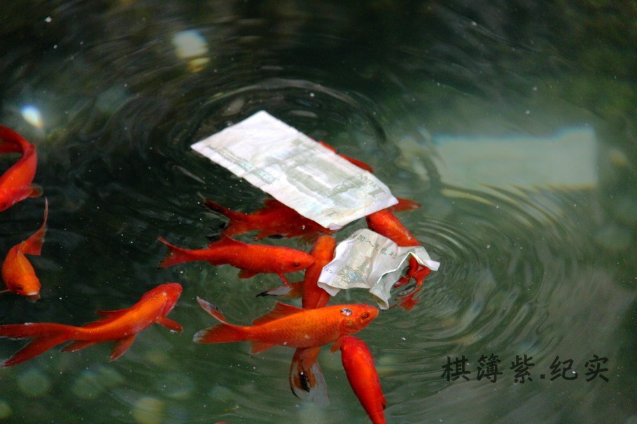 十余万人拜古庙 “圣水”里被丢纸币