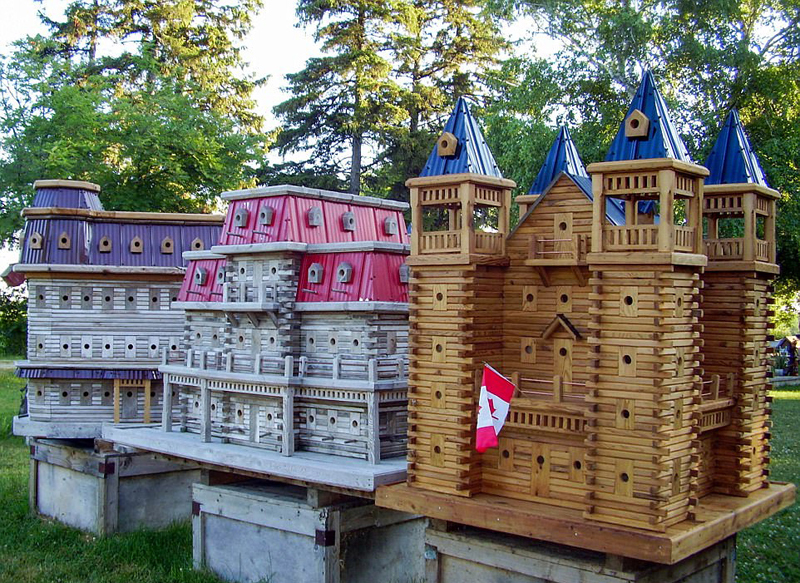 加拿大木匠建造奢华鸟舍 自带泳池