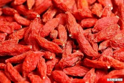 男人经常吃枸杞子好吗 男人经常吃枸杞有什么