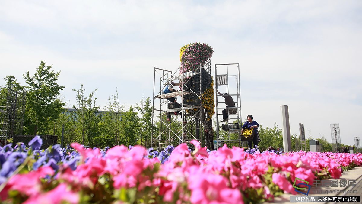 4月27日,工人们在北京奥林匹克公园内加紧布置花柱。迎接即将在北京召开的“一带一路”国际合作高峰论坛(图片来源:tuku.qianlong.com)。千龙网记者 陈健男摄