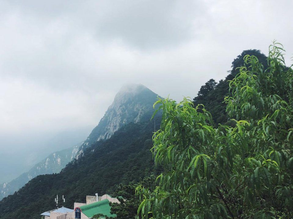 国内这个景区惹众怒,中国人收门票,日本人等外