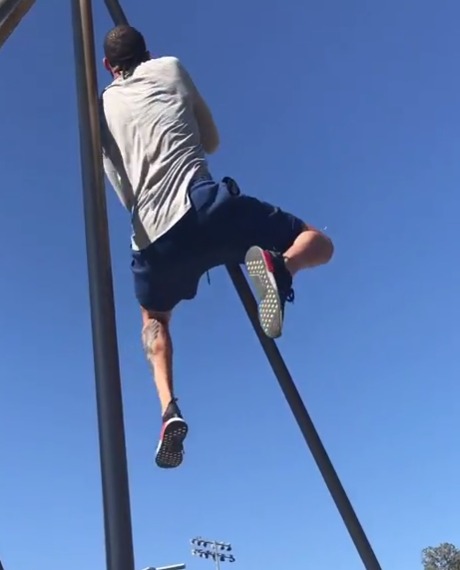 公园里徒手爬杆 厉害了我的大麦基