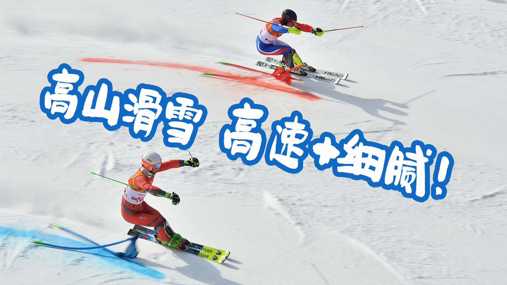 【冬奥硬核说】高山滑雪速降 超级大回转 大回转 回转到底有啥不同？