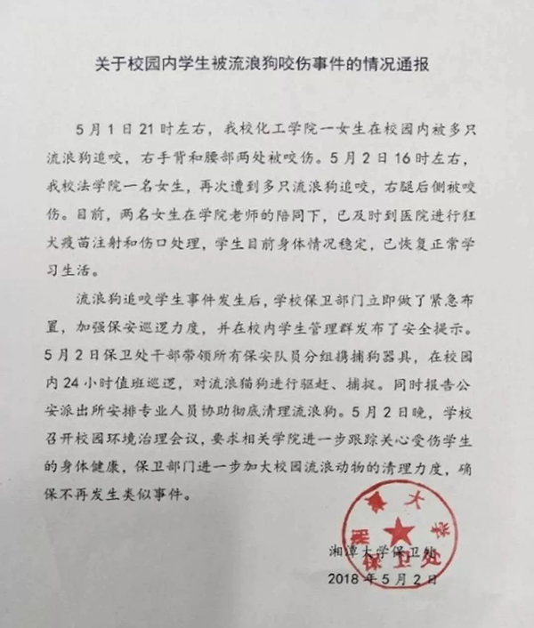 女生校内被流浪狗追咬 爱心泛滥还是管理缺失？