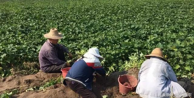 t01ef4443fffa552703.jpg?size=640x324