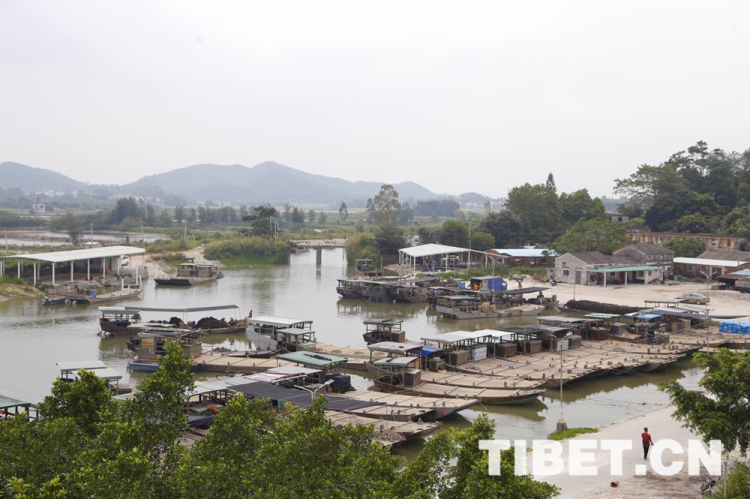 【新时代•幸福美丽新边疆】探访中国蚝乡养殖产业 看高品质生蚝如何长成 【新时代•幸福美丽新边疆】探访中国蚝乡养殖产业 看高品质生蚝如何长成