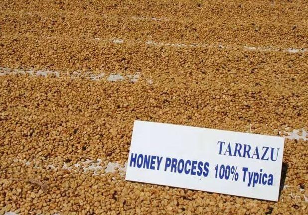 精制日晒 丨 巴西COE季军,巴拿马BOP第一名