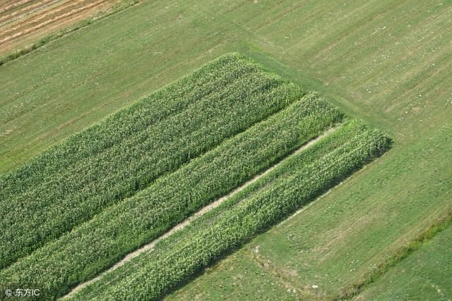 专家说农村实行一户一田,是未来农村发展趋势