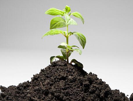 王健林预言未来:全球未来十年能暴富的行业,有