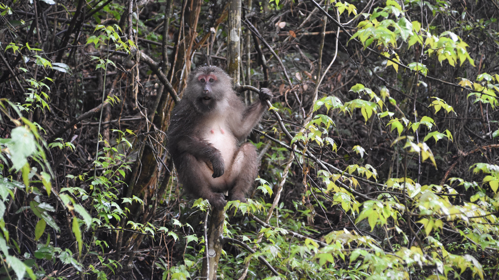 看!这些神奇的动物 你都认识哪几个? 看!这些神奇的动物 你都认识哪几个?