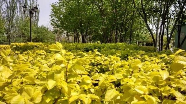 鼠人出生那个时辰最好,自己来看看吧