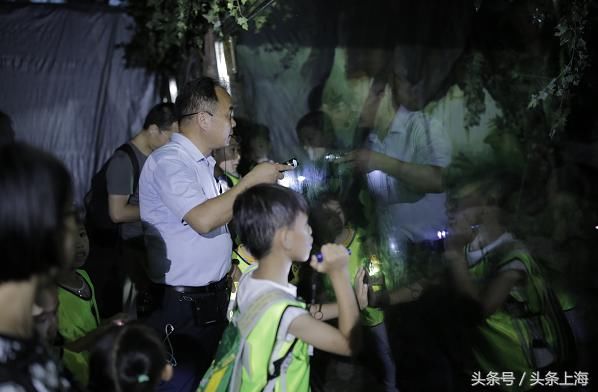 给河马刷牙?浣熊浑水摸鱼?动物度夏还有这操