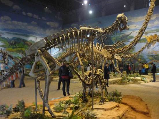 赣州市恐龙博物馆图片