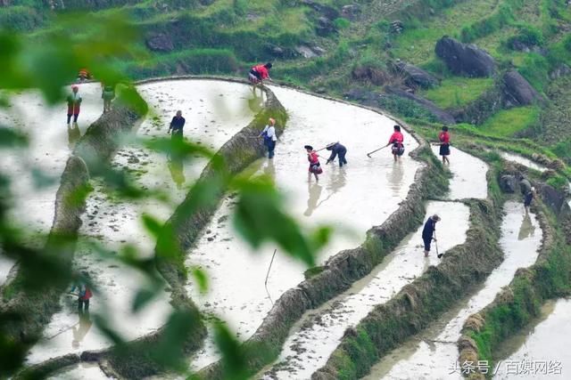 CCTV13新闻直播间|广西龙胜:千层天梯闹春耕