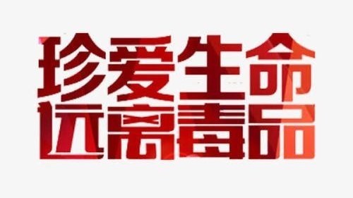 拒绝毒品的诱惑——央视中文国际频道主持人栗娜发出倡议