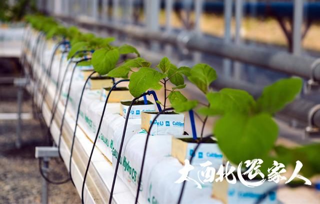 2018年国家扶持农村农业的新路子