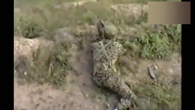 图为日媒拍摄下的画面