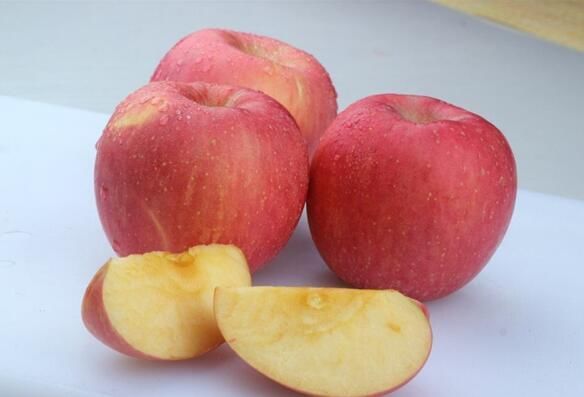 孕妇怀孕期间吃什么可以给胎儿补脑