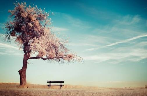 宁愿笑着放手,也不要哭着坚守