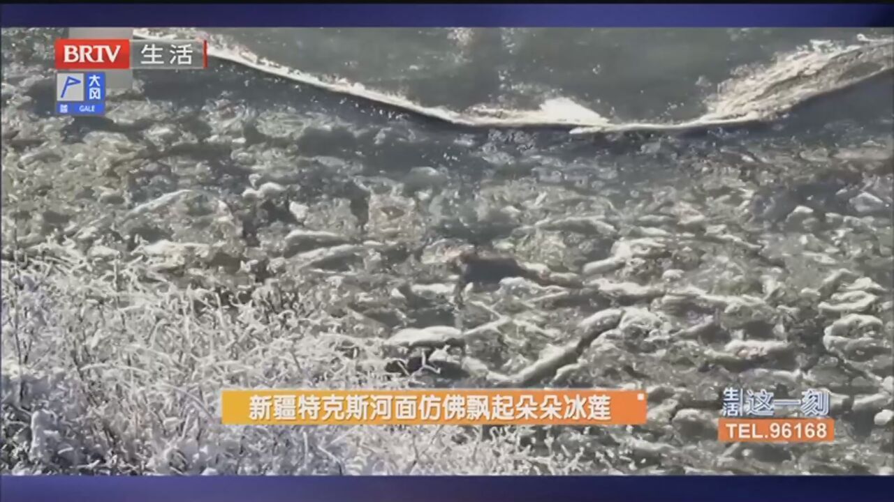 新疆特克斯河面仿佛飘起朵朵冰莲_北京时间