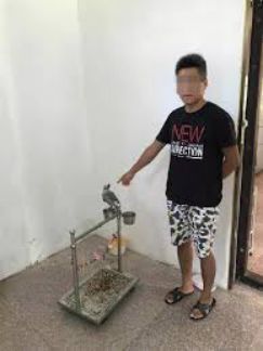 能代购了?中国正式出台代购法,微商必须注册交