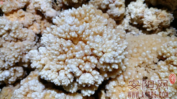 林州市合涧镇惊现钟乳石洞穴