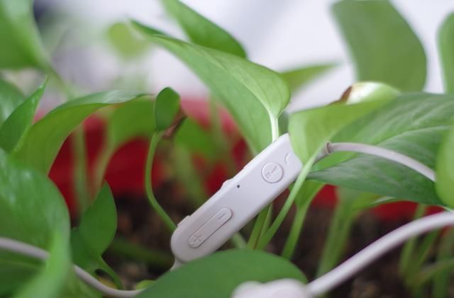 索尼无线降噪防水运动耳机WI-SP600N上手体