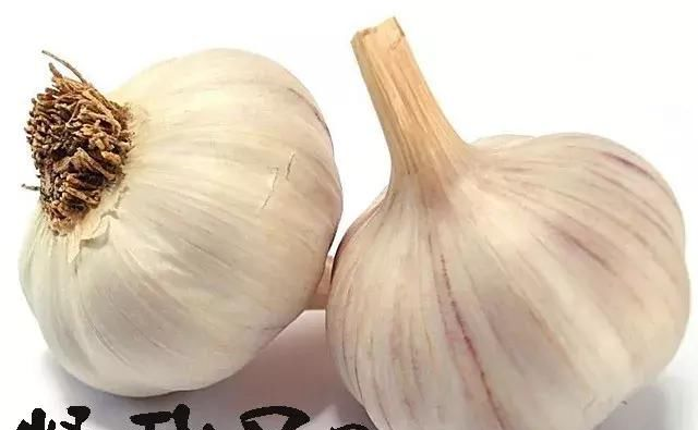 蒜头怎么保鲜 t01f230e329bd34f3cc.bmp?size=640x395