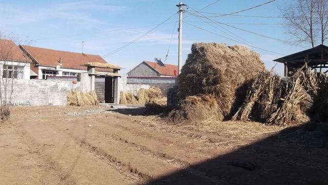 农村发展新契机,农业电商走进千家万户,前景一