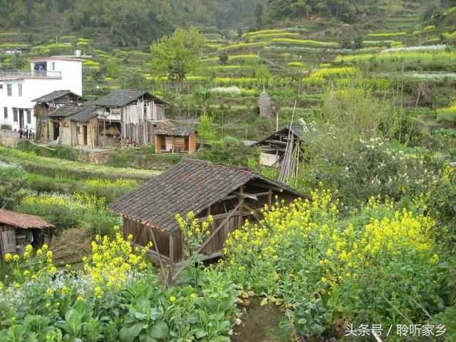 农民工全部返乡回家,农村会发展成什么样!有没