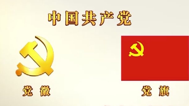 党徽和党旗的使用有哪些规定？一个短片告诉你