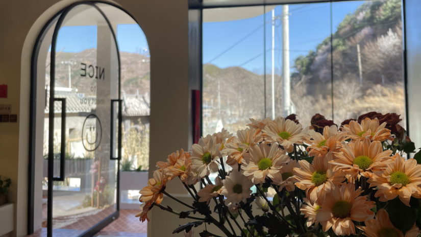 【小村大事】毕业回乡建民宿、咖啡馆,她助村民增收,小村大变样~ 【小村大事】毕业回乡建民宿、咖啡馆,她助村民增收,小村大变样~