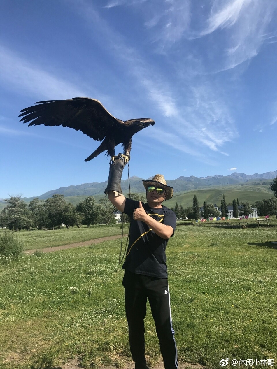 杨幂老爸新疆展雄风 大雕在手霸气似拍武侠片