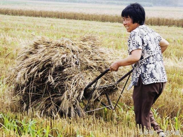 为什么当今中国农民种地不赚钱了?