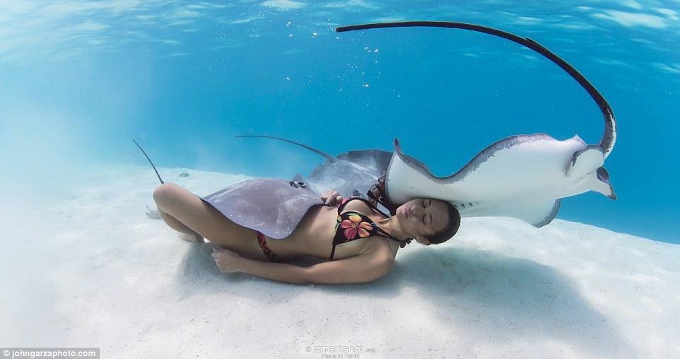 拉伊在接受采访时说道：“或许有那么一刻，这些动物会认为我会带来威胁进而发动攻击，如果故事那样发展的话，我极有可能曾处在十分危险的境地。”