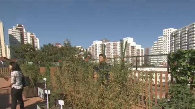 首都国企主动作为 提升老街坊的获得感