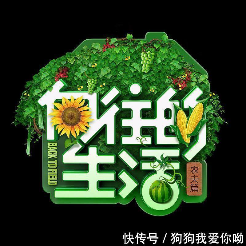 《向往的生活》彭昱畅不禁允许曝光张子枫隐私