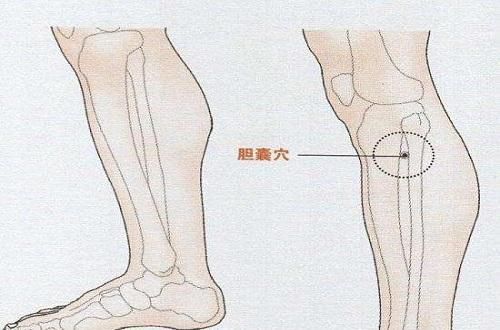 按摩哪里治疗偏头痛 偏头痛按哪里能止痛