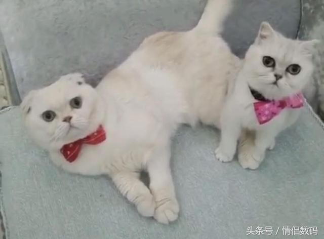 小女孩玩抖音,不小心直播妈妈洗澡全过程,长达