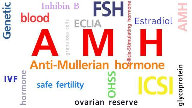 备孕数周还未成功的你,是时候检查下抗穆勒氏