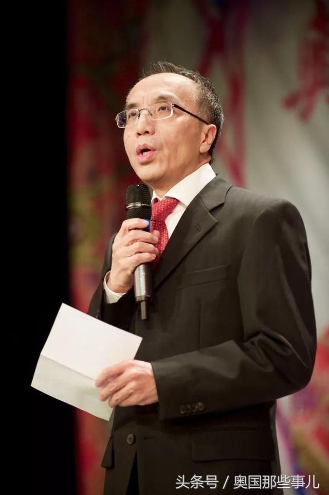 十年春晚初心不改,2018年奥地利华侨华人留学