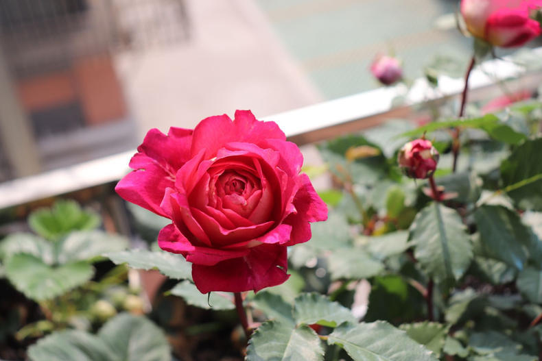 t01f6470d05ef8cf159.jpg?size=790x527+data-appeared=false+style=border:+0px;+display:+flex;+width:+271.44px;+height:+180.573px;+background-color:+rgb(250,+250,+250);