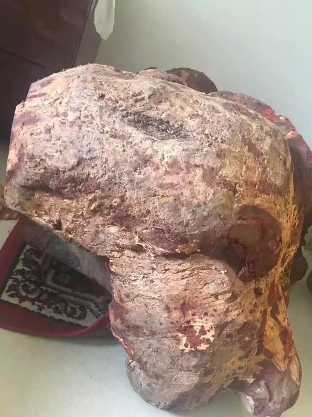 山西土豪花下巨资买下一坨木疙瘩,一刀切开 勃