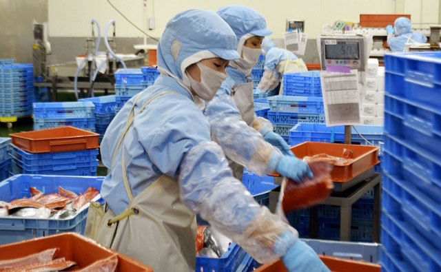 日本提出增加来日务工外国人新政策 外国劳务