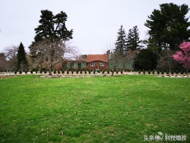 华为 P20 Pro VS诺基亚Lumia1020:穿越时空的