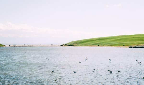 新疆第一大市,面积达48万平方公里,相当于4个